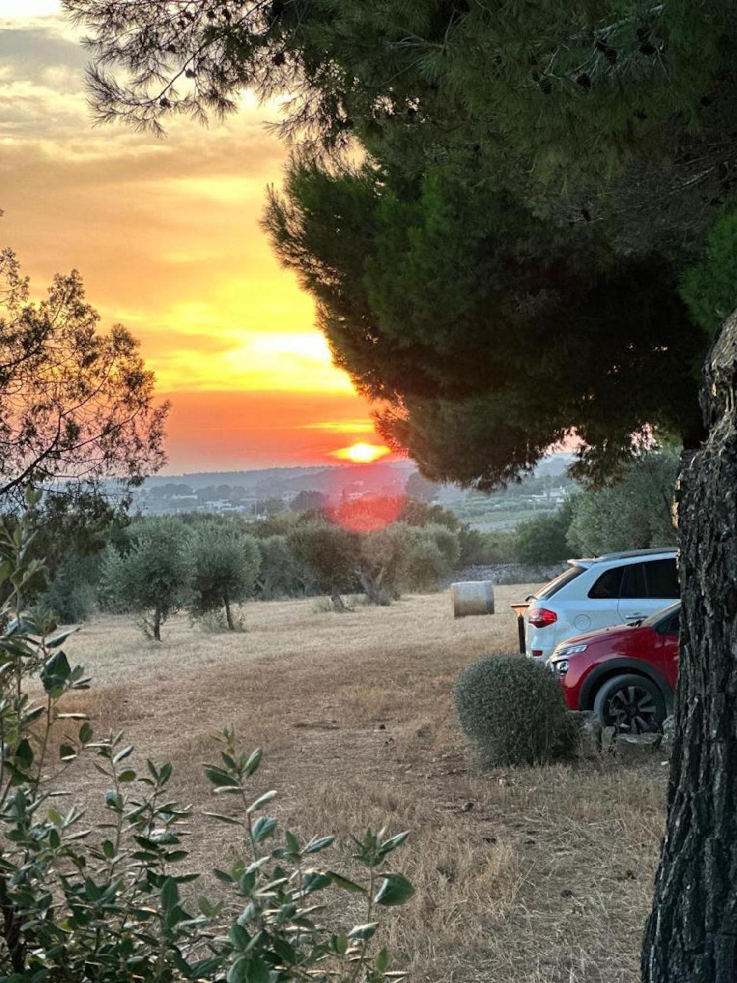 Masseria Battaglini มาร์ตินาฟรังกา ภายนอก รูปภาพ