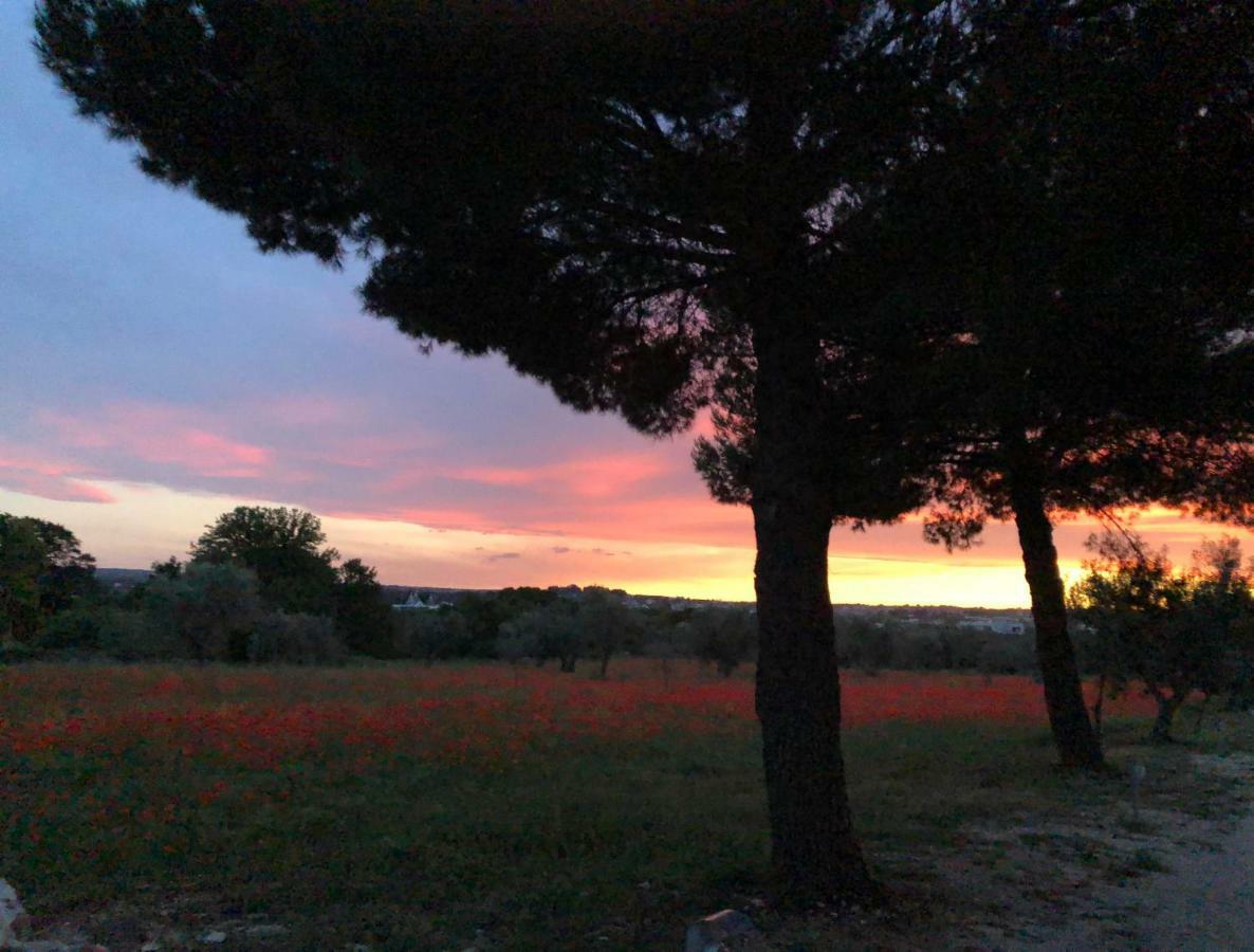 Masseria Battaglini มาร์ตินาฟรังกา ภายนอก รูปภาพ
